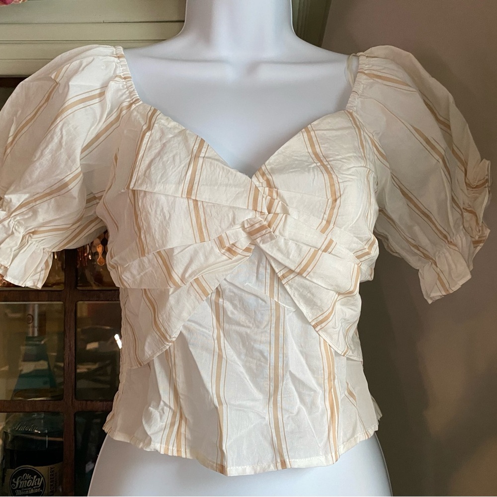 Sage Cream and Tan Striped Blouse